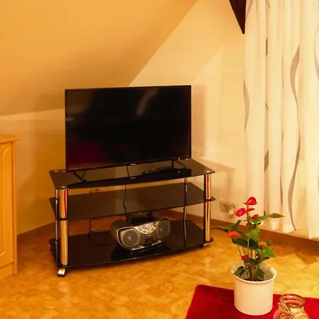 Apartment Holiday Flat Am Kurpark Zorge - Dmg03007-p *