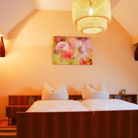 Apartment Holiday Flat Am Kurpark Zorge - Dmg03007-p *